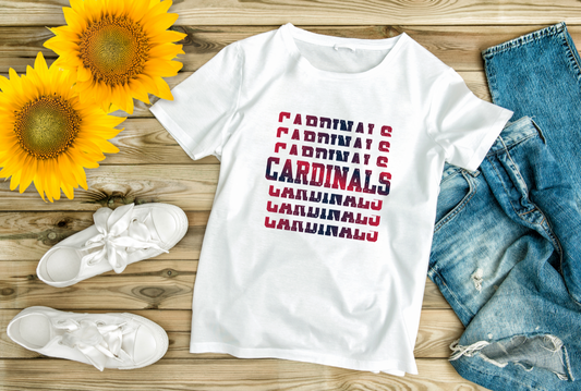 Cardinals Spiritwear